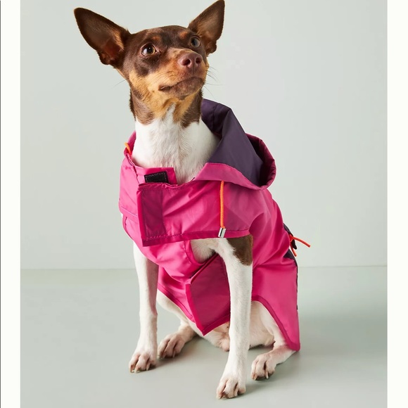WARE of the DOG Other - 5/$20🐰Dog Raincoat